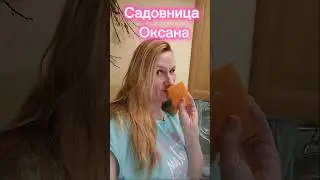 Что бы тряпка и губка не пахли