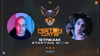 Околоразбор Innopolis Open 2024 Elimination 2 / Miston Cats
