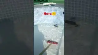 мы просрали лето