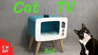 Cat Tv Bed