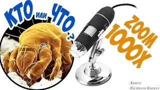 Как отличить кожу от искусственной + загадка. Не детский цифровой USB микроскоп.