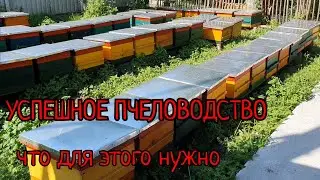 ОТВОДКИ РЕМОНТНЫЕ ДЛЯ ЧЕГО, успешное пчеловодство.