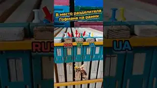 КРУТО И ДЁШЕВО, БЕЗ РАЗДЕЛИТЕЛЯ!!! 