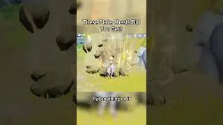 Plates! Chests! Check them!!  