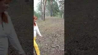 Тихая охота 2024. 