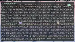 AMF Video Encoding on OBS | Gentoo Linux
