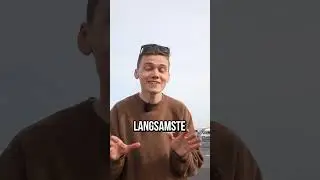 Noel wird geblitzt ⚡️ 