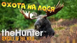theHunter: Call of the Wild - Охота на лося!