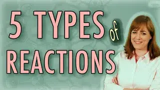 5 Types of Chemical Reactions (Chemistry) + Activity Series, Solubility Rules