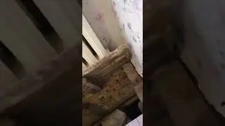 Обращение жительницы г.о.Серпухов к главе города Юлии Купецкой  и директору 