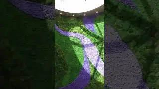 Ever seen a PLANT WALL in a house?