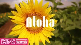 Hawaiian Music for a Sunny Day – Relax and Focus with Nature's Joyful Sounds