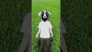 now i know what's real what's fake 