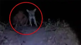 5 Scary Videos That Are Freaking Creepy