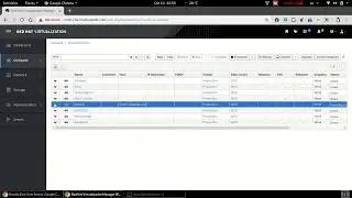 RHV Hot plug of virtual resources