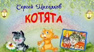 Котята. Сергей 
