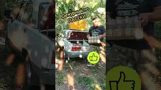 Дежурство мечты N⁰-2