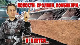 Новости хозяйства: окролы НЗБ, комбкорм, уличные клетки