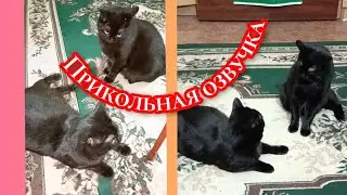 Я ведь не родная мать... Смешная озвучка.