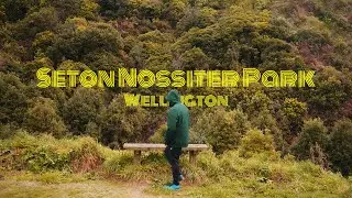 Escape the Chaos | Journey through Seton Nossiter Park Trail