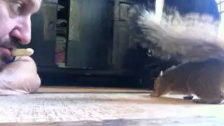 R U Nuts?