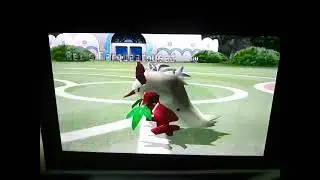 Pokemon Battle Revolution: The Power Of The Showdown!