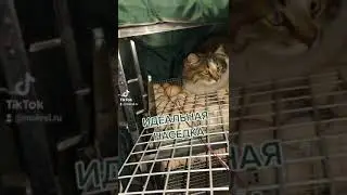 Я только сходил за водой...
