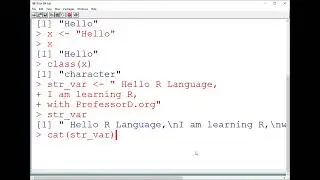 R Language Strings Literals Assignment to Variable Multiline Strings nchar() cat()  escape sequence