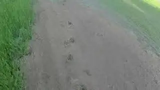 Мукаш аул в Нововаршавском районе Омской области/Mukash aul in Omsk region