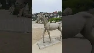 База отдыха, Приморье, поселок Врангель.