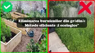Buruienile, adio! Cum să îți transformi grădina într-un paradis verde