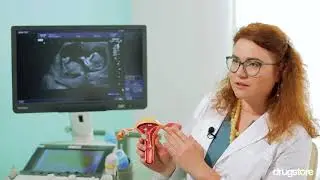 Что такое менструация