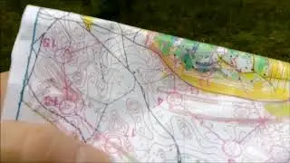 Ориентирование в Луге