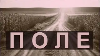 ПОЛЕ | Песня