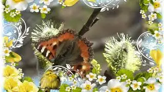 С Вербным воскресеньем друзья! Моё сочинение на музыку Н  Рыбникова