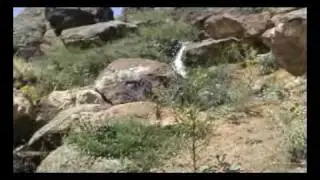 OY FELEK  / ROJHAT EMRO