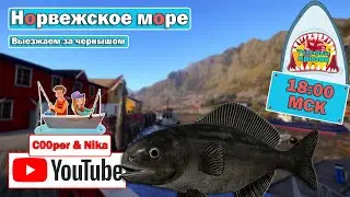 Выезжаем за Центролофом • Стрим с Купером и Вероникой •  Норвежское Море • Русская Рыбалка 4