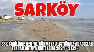 SSK SAHİLİNDE HER YIL GÖRMEYE ALIŞTIĞIMIZ ADACIKLAR TEKRAR ORTAYA ÇIKTI EKİM 2024  = 2132 =