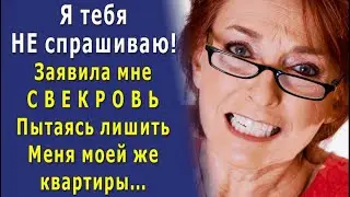 - Дорогая СВЕКРОВУШКА, какого фига вы решаете с сыном вопрос о том, как сдать мою квартиру?