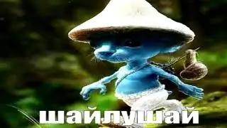 шайлушай