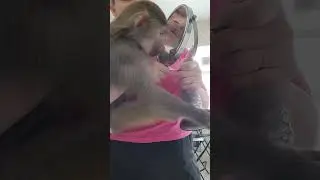 Кто это там такая красивая в зеркале?🤣