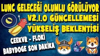 LUNC GELECEĞİ YÜKSELİŞ BEKLENTİSİ ÖNEMLİ GÜNCELLEME FLOKİ CEEKVR BABYDOGE 