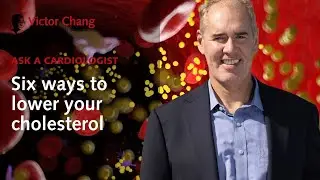 How can I lower my cholesterol? Cardiologist Professor Jason Kovacic explains