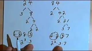 Finding the Greatest Common Divisor 127-2.19