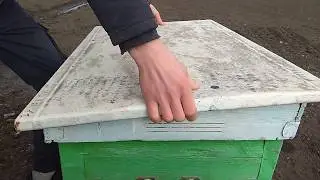 ЗИМОВКА ПЧЕЛ. УТЕПЛЯЕМ УЛЬЯ. ОСМОТР СЕМЕЙ.  02.03.2019