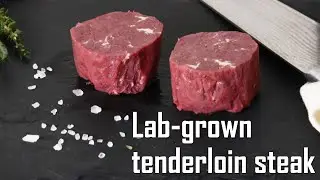 Lab-grown beef tenderloin steak