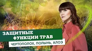 Магия Трав | Защитные функции трав (Чертополох, Полынь и Алоэ)