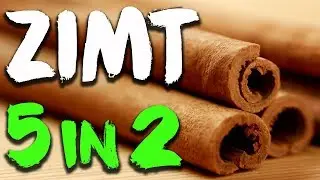 ZIMT | 5 Fakten in 2 Minuten