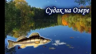 Ловля Судака на Озере. Русская Рыбалка 3.99.