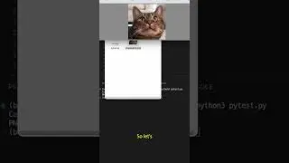 Image Manipulation